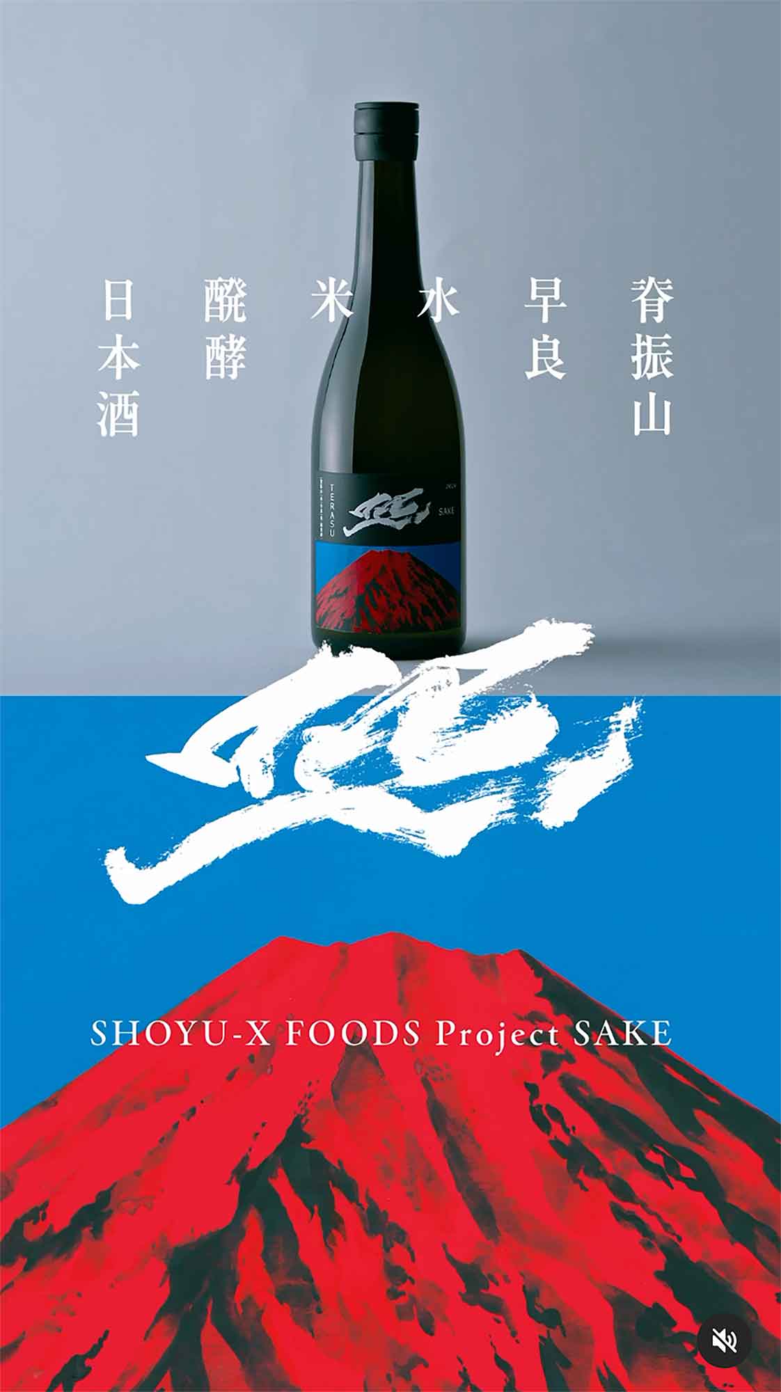 shoyu-x 照 日本酒 書道ロゴ